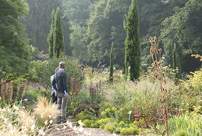 Wir begleiten Sie und Ihren Garten